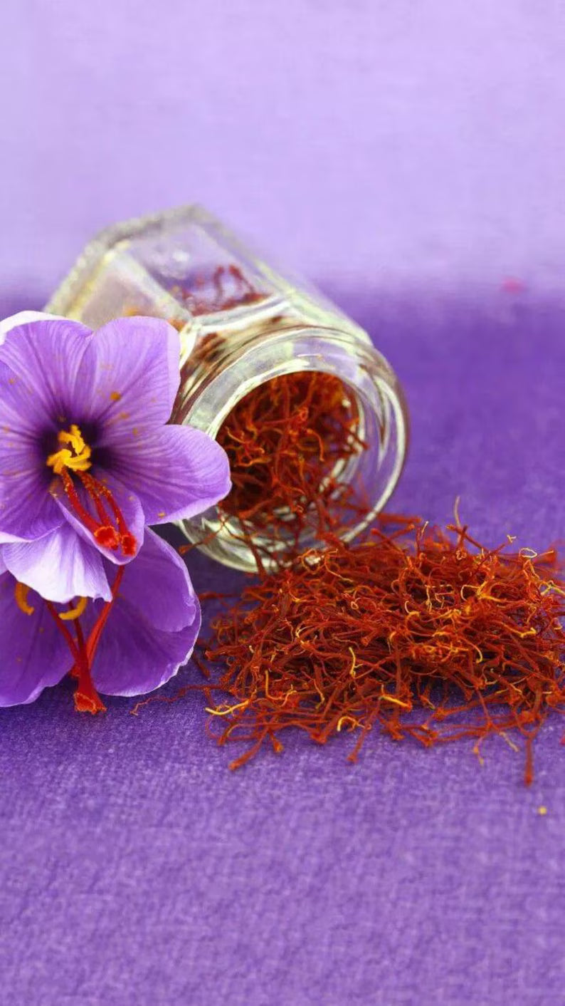 Saffron threads and purple crocus flowers